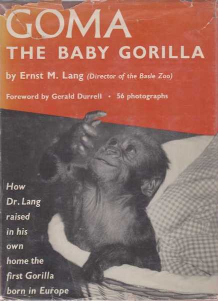 Goma, The Baby Gorilla Image for Goma, The Baby Gorilla