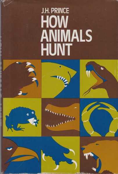 Image for How Animals Hunt