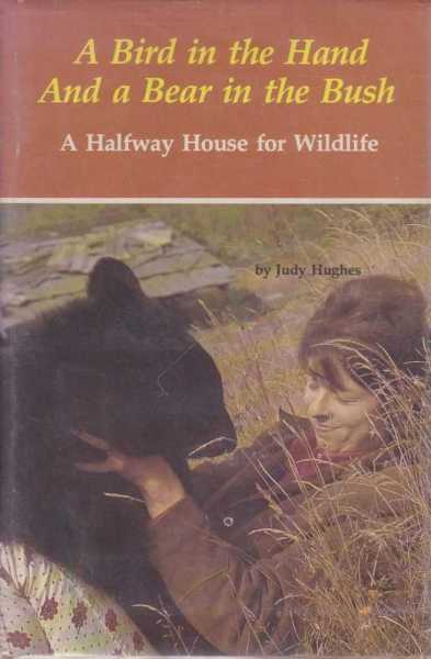 A Bird in the Hand And a Bear in the Bush Image for A Bird in the Hand And a Bear in the Bush