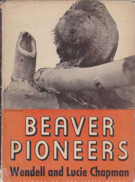 Beaver Pioneers Image for Beaver Pioneers