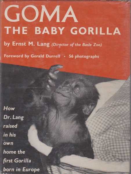Goma - The Baby Gorilla Image for Goma - The Baby Gorilla