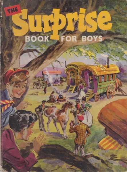 Image for The Surprise Book for Boys