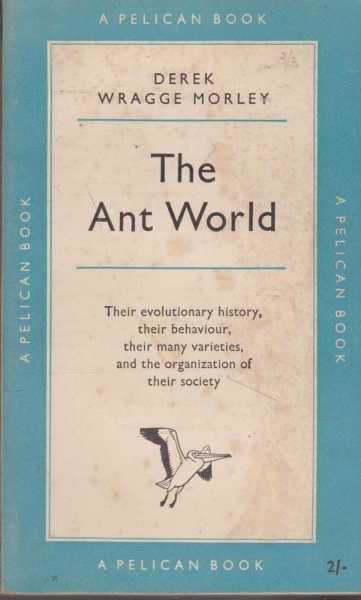 The Ant World Image for The Ant World