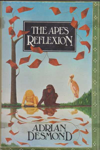 Image for The Ape's Reflexion