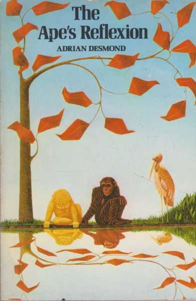 Image for The Ape's Reflexion