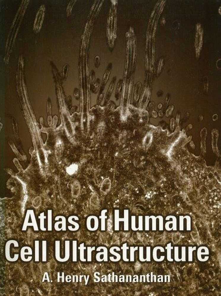 Image for Atlas of Human Cell Ultrastructure