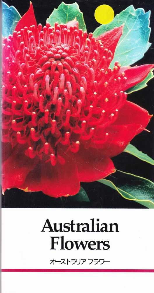Image for Australian Flowers Catalogue for Japanese Importers