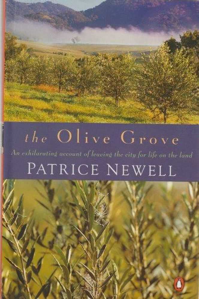 Olive Olive Weston The Heroic Life Of A World War Ii Nurse - 