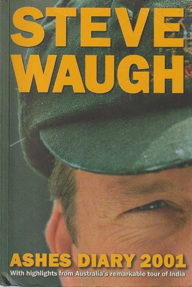 Image for Ashes Diary 2001