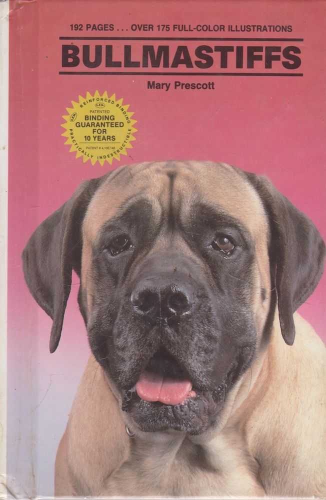 Bullmastiffs Image for Bullmastiffs