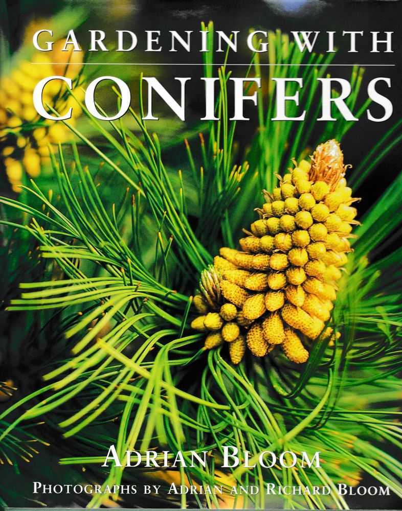 Image for Gardening With Conifers