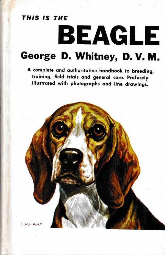 Image for This is the Beagle