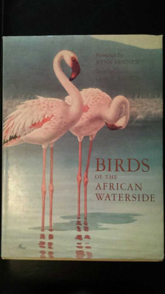 Image for Birds of the African Waterside