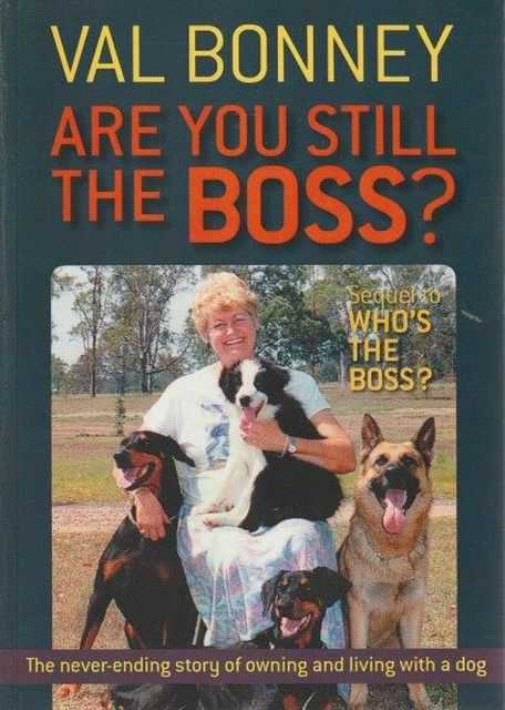 Are You Still The Boss? Sequel To Who's The Boss? Image for Are You Still The Boss? Sequel To Who's The Boss?