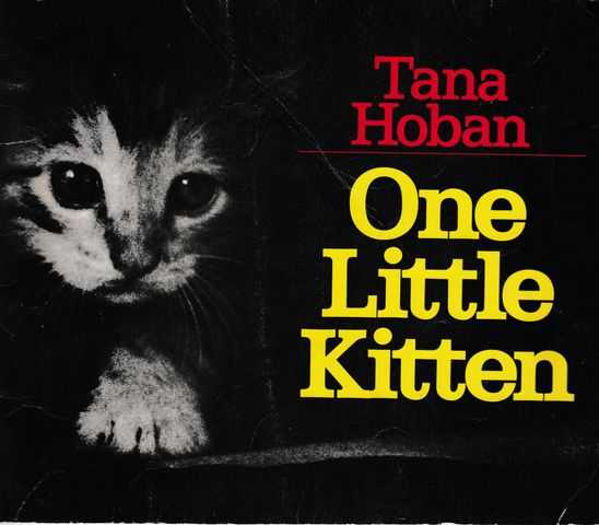 Image for One Little Kitten