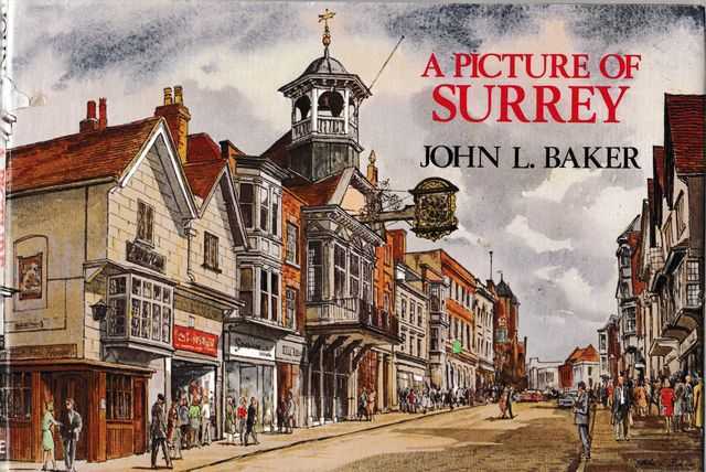 Image for A Picture of Surrey
