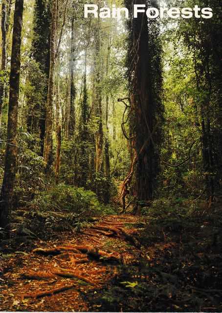 Image for Rain Forests