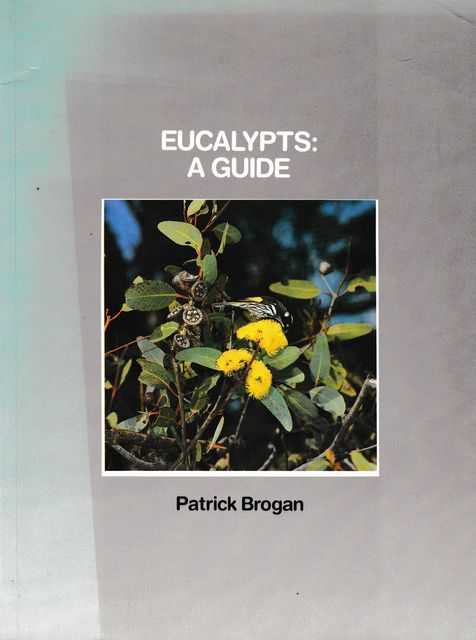 Image for Eucalypts: A Guide