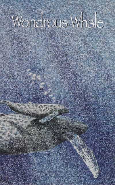 Image for Wondrous Whale