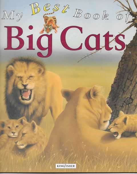 Image for Mt Best Book of Big Cats
