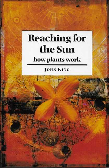Reaching for the Sun: How Plants Work Image for Reaching for the Sun: How Plants Work