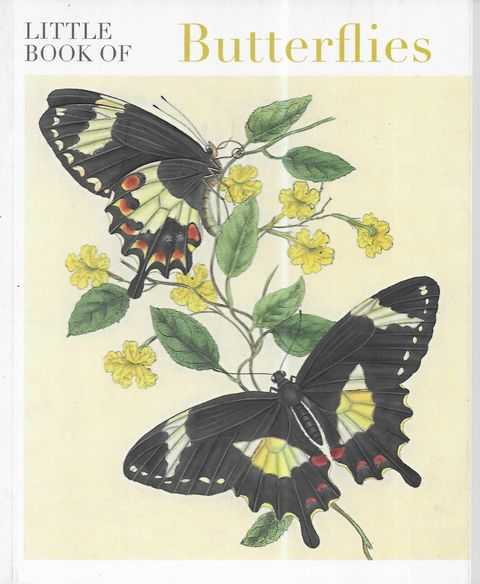 Image for Little Book of Butterflies