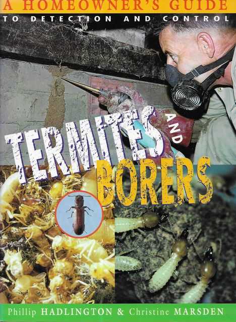 Termites and Borers: A Homeowner's Guide to Detection and Control Image for Termites and Borers: A Homeowner's Guide to Detection and Control