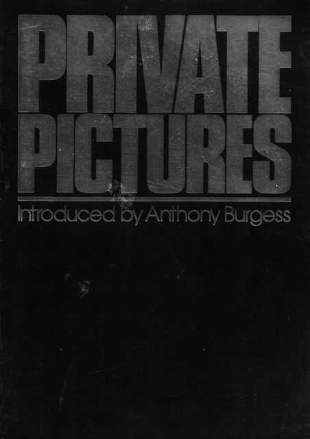 Image for Private Pictures