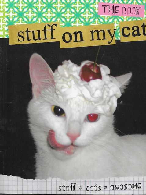 Image for Stuff On My Cat - The Book