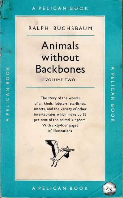 Image for Animals Without Backbones Volume Two: An Introduction to Invertebrates