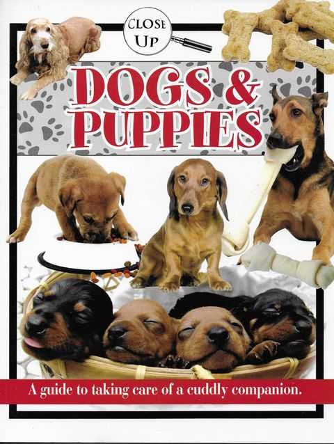 Image for Close Up: Dogs & Puppies - A Guide to Taking Care of a Cuddly Companion
