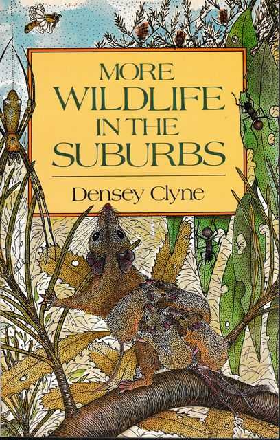 Image for More Wildlife in the Suburbs