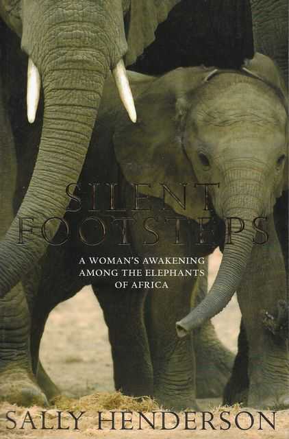 Image for Silent Footsteps