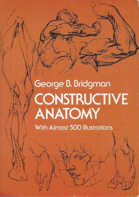 Image for Constructive Anatomy