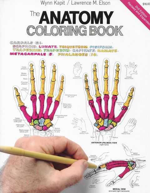 Image for The Anatomy Coloring Book