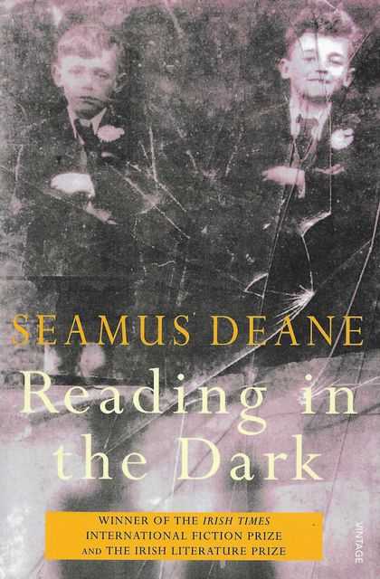 Image for Reading in the Dark