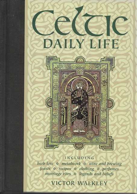Image for Celtic Daily Life
