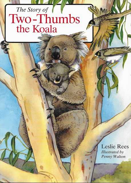 Image for The Story of Two-Thumbs the Koala