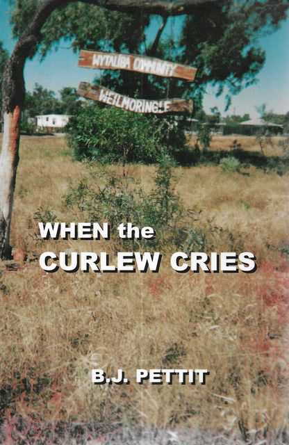 Image for When The Curlew Cries