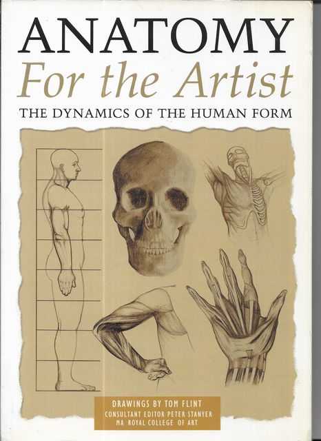 Image for Anatomy For The Artist: The Dynamics of the Human Form