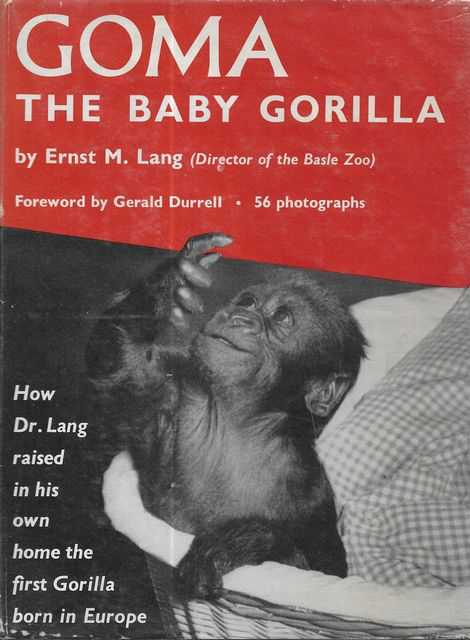 Image for Goma - The Baby Gorilla