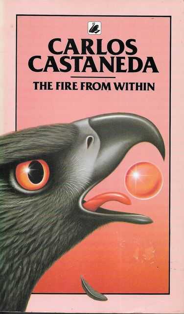 Image for The Fire from Within