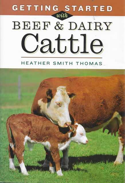 Image for Getting Started with Beef & Cattle