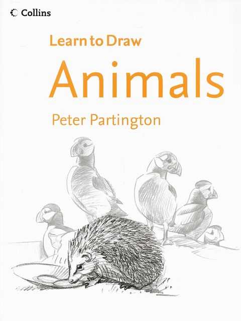 Image for Collins Learn to Draw Animals