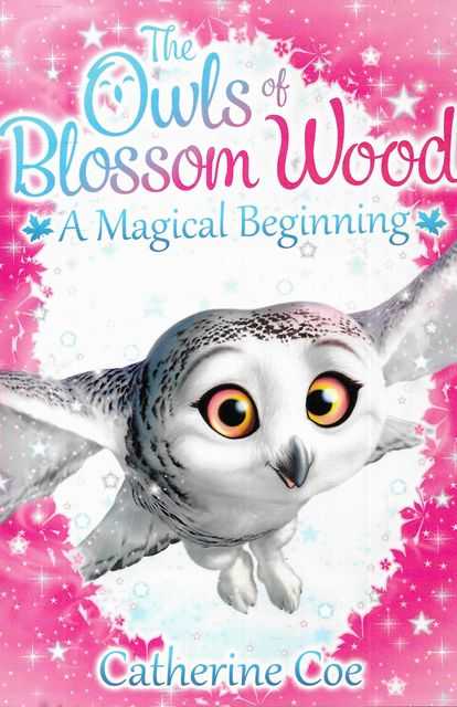 Image for The Owls of Blossom A Magical Beginning
