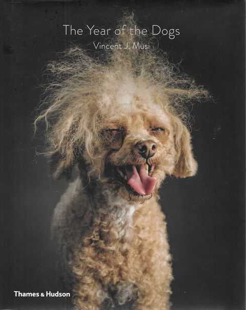 Image for The Year of the Dogs